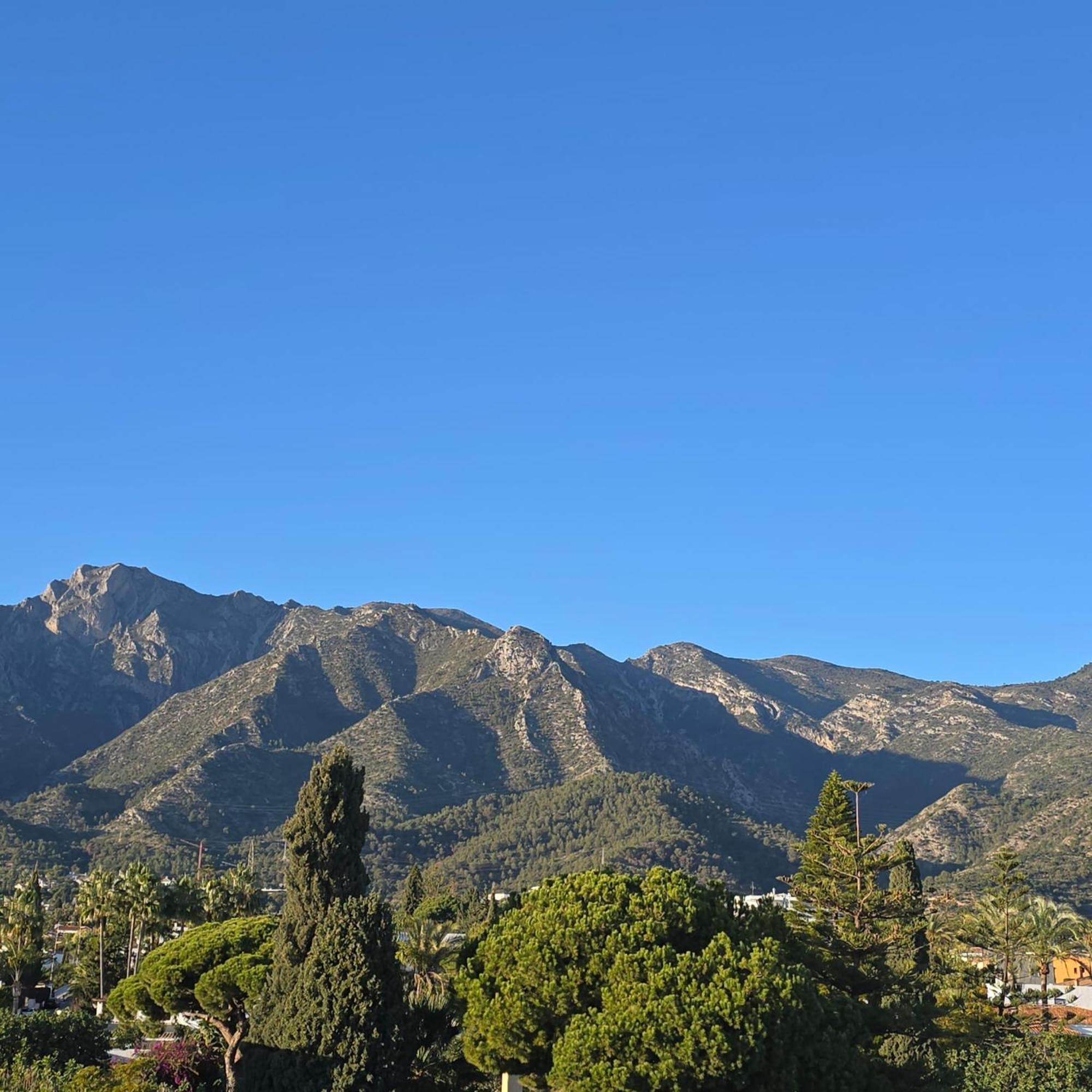 Apartment Center Walking Distance And Plaza De Naranjos *
